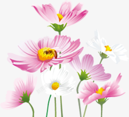温馨粉色水彩花朵png免抠素材_新图网 https://ixintu.com 水彩 温馨 粉色 花朵