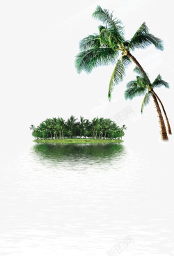 翠绿的椰树翠绿的椰树高清图片