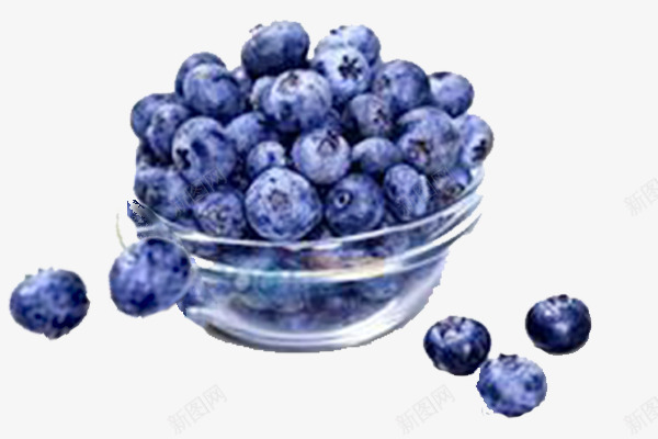 实物碗装蓝莓png免抠素材_新图网 https://ixintu.com 实物 浆果 碗装蓝莓 碗装黑加仑 美食 黑加仑