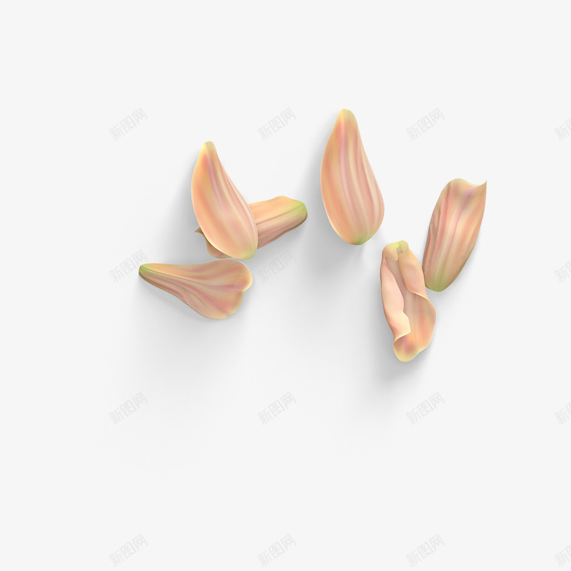 红色花瓣png免抠素材_新图网 https://ixintu.com 投影 渐变 灰色 红色 纹理 自然 花瓣 质感