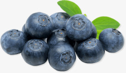 饱满多汁的蓝莓素材