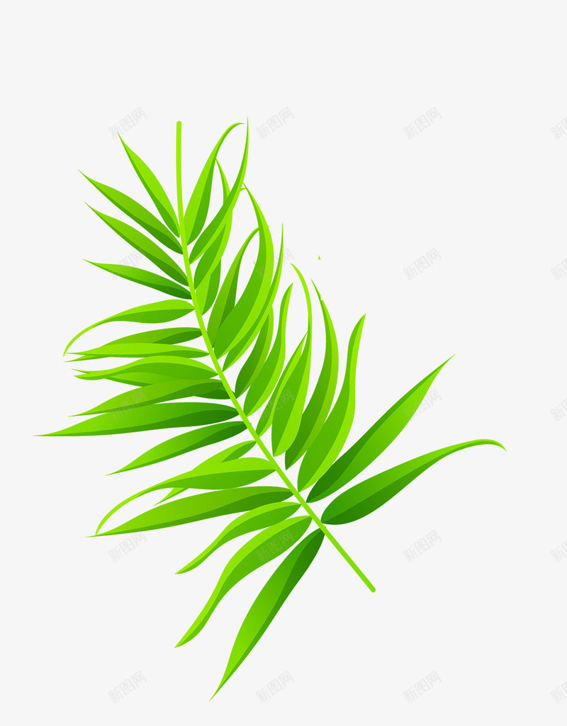 绿色椰树叶子图png免抠素材_新图网 https://ixintu.com 创意 卡通手绘 树叶 植物 椰叶 椰树叶子 水彩 装饰