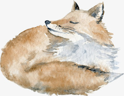 棕色狐狸手绘水彩小狐狸图高清图片