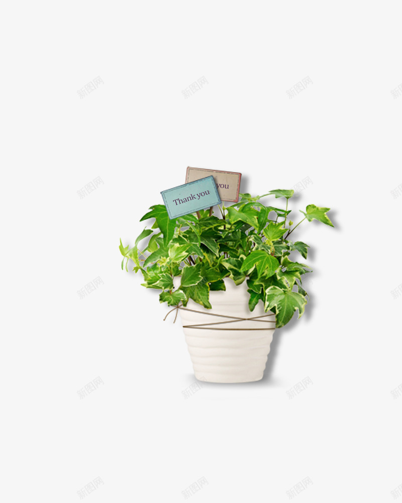 植物png免抠素材_新图网 https://ixintu.com 咖啡 咖啡厅 杯子 标志 植物