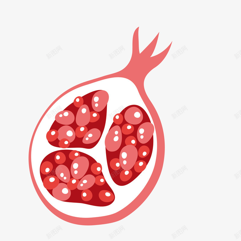 手绘石榴png免抠素材_新图网 https://ixintu.com 手绘画 水果 矢量装饰 石榴 装饰