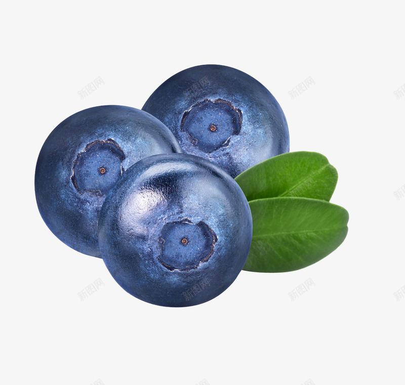 大颗蓝莓熊果苷png免抠素材_新图网 https://ixintu.com 免抠 大颗 熊果苷 紫色 绿色 蓝莓