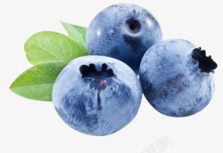 水果蓝莓pnj水果素材