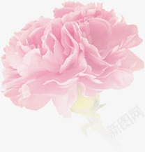 粉色温馨花朵装饰节日png免抠素材_新图网 https://ixintu.com 温馨 粉色 节日 花朵 装饰