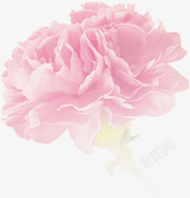 粉色温馨花朵装饰节日素材
