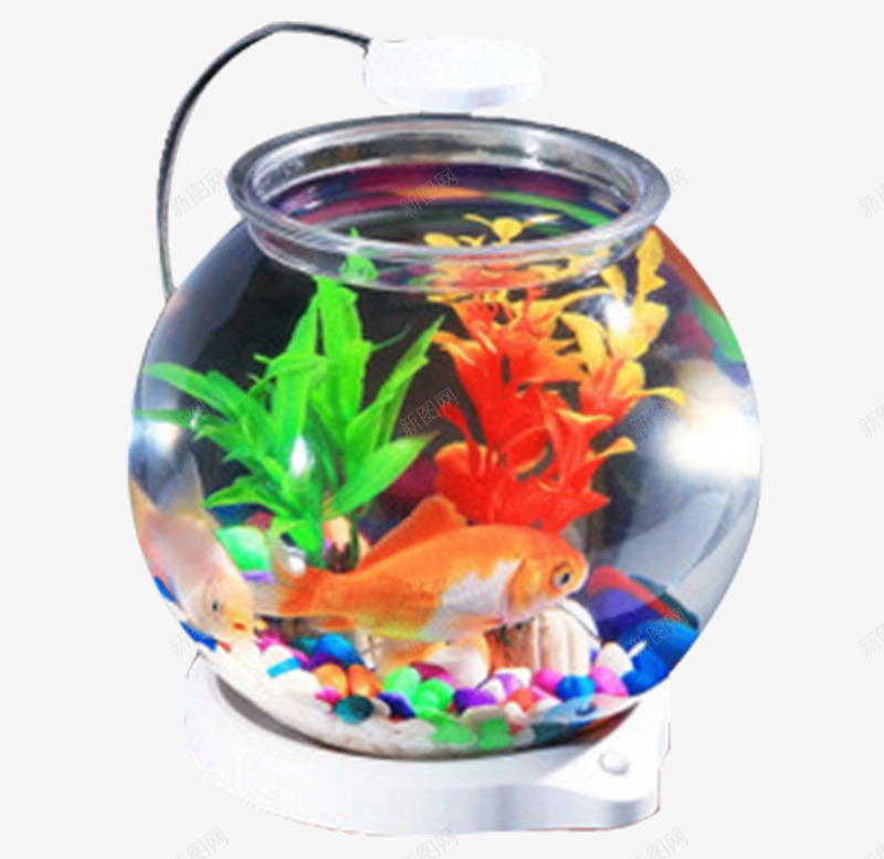 玻璃智能照明鱼缸png免抠素材_新图网 https://ixintu.com 宠物 智能 照明 玻璃 鱼缸