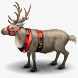 reindeerreindeer圣诞麋鹿高清图片