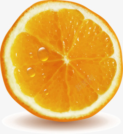 水彩橙子水果矢量图素材