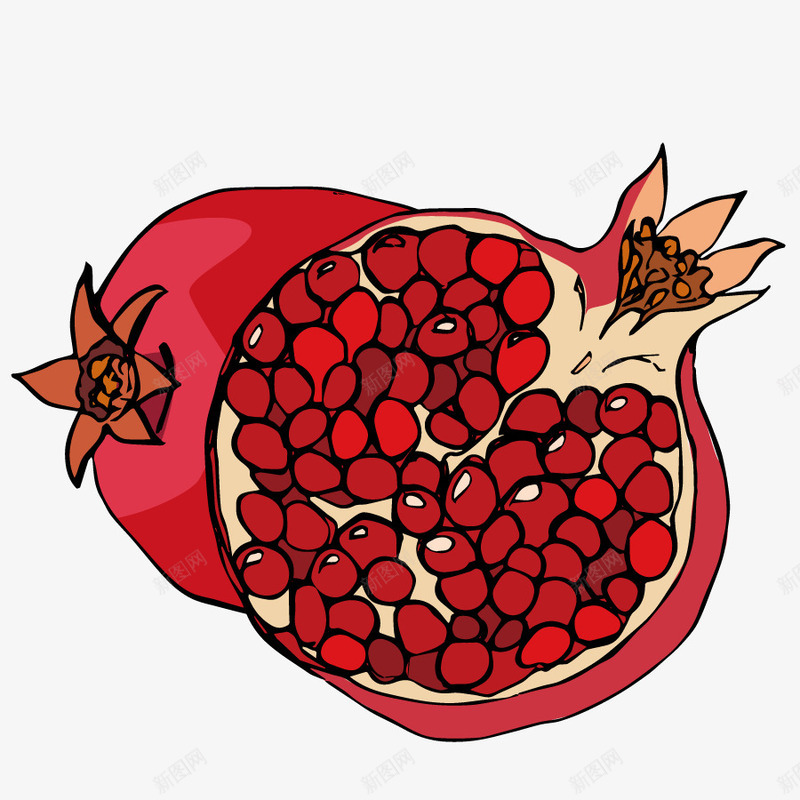 红色石榴矢量图eps免抠素材_新图网 https://ixintu.com 插画 果实 水果 食物 矢量图