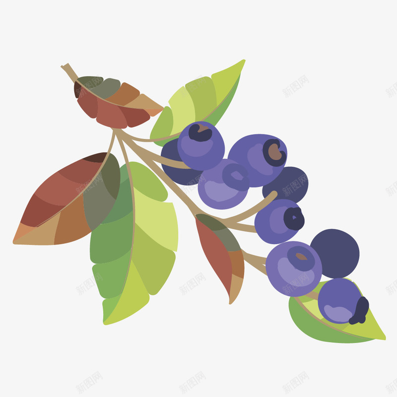 卡通蓝莓png免抠素材_新图网 https://ixintu.com PNG蓝莓 树叶 植物 水果 矢量水果 蓝莓