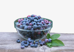 果盆蓝莓高清图片