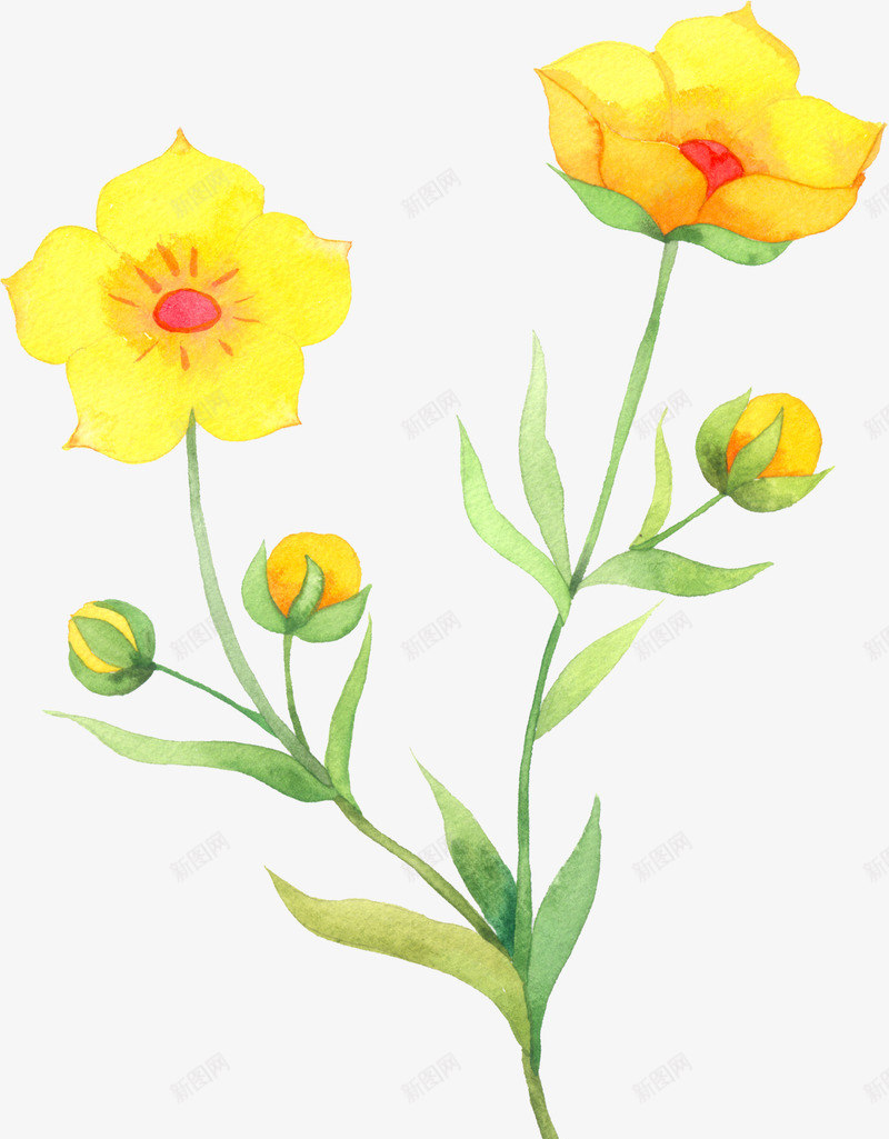 手绘黄色温馨花朵植物png免抠素材_新图网 https://ixintu.com 植物 温馨 花朵 黄色