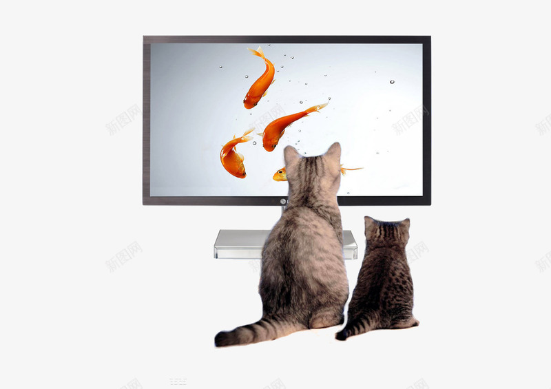 猫看电视png免抠素材_新图网 https://ixintu.com 灰色 猫 电视 鱼