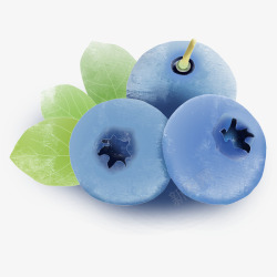 美味水果蓝莓元素素材