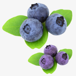 蓝莓水果甜好吃蓝莓高清图片