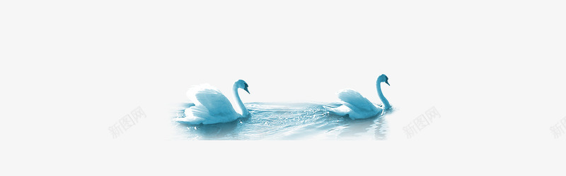 鹅png免抠素材_新图网 https://ixintu.com 卡通 水上的鹅 白色 蓝色 高贵