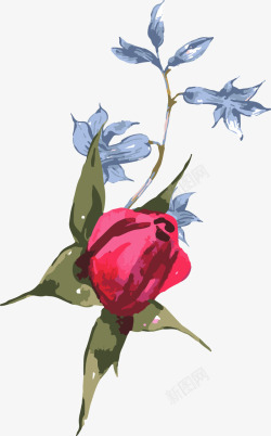 红玫瑰免费下载玫瑰花高清图片
