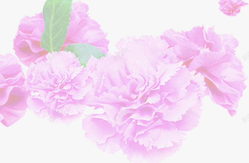 粉色温馨手绘花朵母亲节png免抠素材_新图网 https://ixintu.com 母亲节 温馨 粉色 花朵