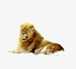 王兽之王的狮子素材