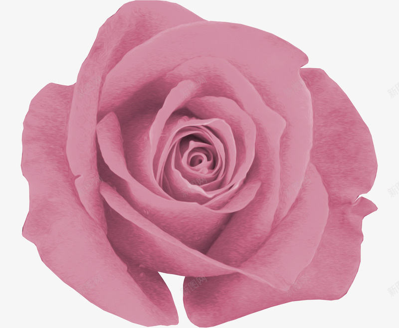 粉色装饰花朵背景元素png免抠素材_新图网 https://ixintu.com 元素 家纺 服饰 粉色 背景 花朵 装饰