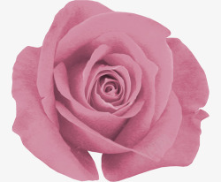 服饰家纺粉色装饰花朵背景元素高清图片