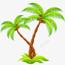 海南椰树素材