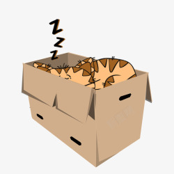 箱子里睡觉的猫咪素材