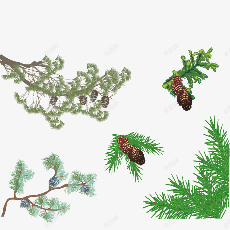 绿树和松树png免抠素材_新图网 https://ixintu.com 松果 松树 植物 绿色