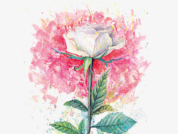 水粉花朵png免抠素材_新图网 https://ixintu.com 植物 玫瑰 红色