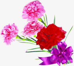 粉色温馨康乃馨花朵花束素材