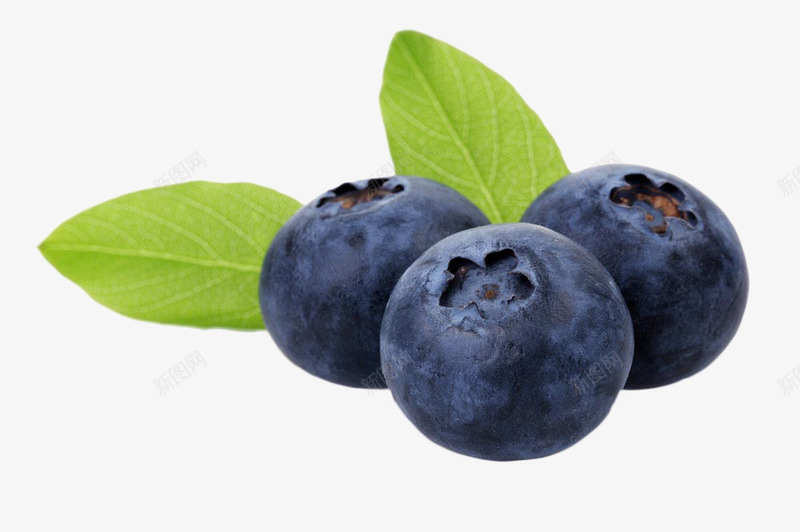 美味水果蓝莓png免抠素材_新图网 https://ixintu.com 水果 绿叶 美味 蓝莓