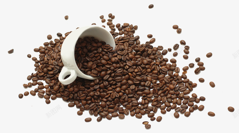洒落的咖啡豆png免抠素材_新图网 https://ixintu.com 产品实物 杯子 棕色 白色