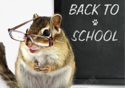 开学季动物素材可爱仓鼠高清图片