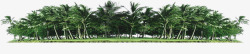 椰树美景树林环保素材