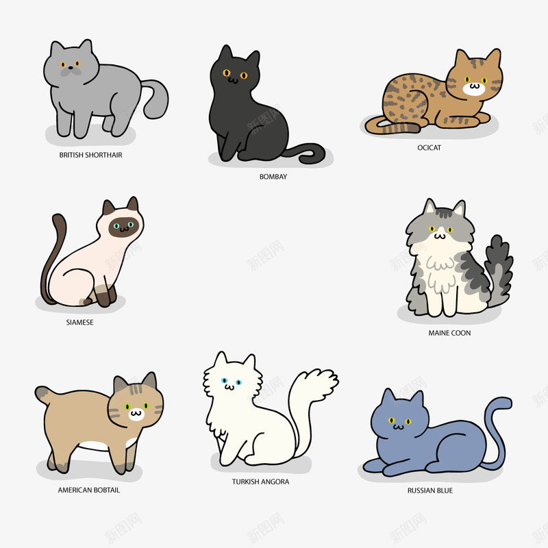 猫的种类png免抠素材_新图网 https://ixintu.com 品种 宠物 波斯猫 黑猫