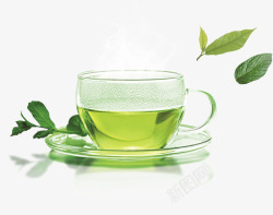 一杯绿茶素材