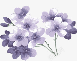 紫色手绘温馨花朵png免抠素材_新图网 https://ixintu.com 温馨 紫色 花朵
