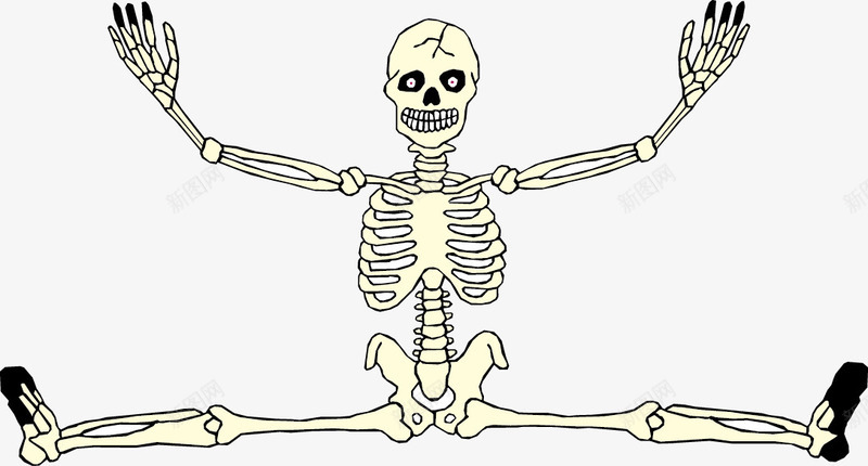 人体骷髅png免抠素材_新图网 https://ixintu.com 万圣节 框架 结构 骨骼