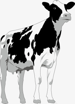 禽兽奶牛矢量图高清图片