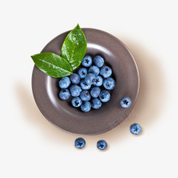 蓝莓果实碟子食品素材