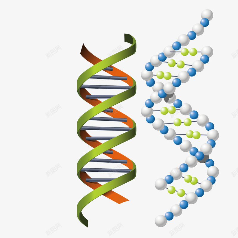 化学式立体结构矢量图ai免抠素材_新图网 https://ixintu.com 化学式 立体 结构 矢量图