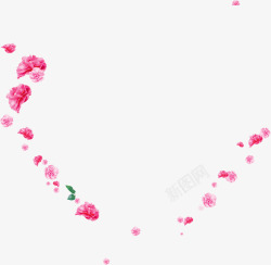 粉色温馨花朵康乃馨素材