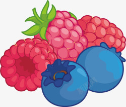 手绘树莓蓝莓素材