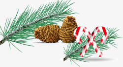圣诞节松子松树素材