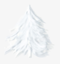 白色松树素材
