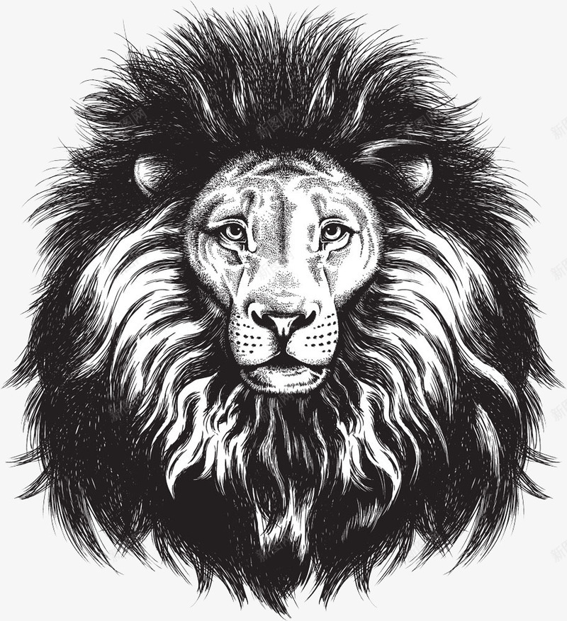 手绘狮子头png免抠素材_新图网 https://ixintu.com 动物 手绘 手绘动物 狮子